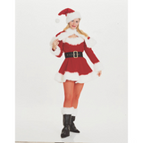 Women's Miss Santa Costume