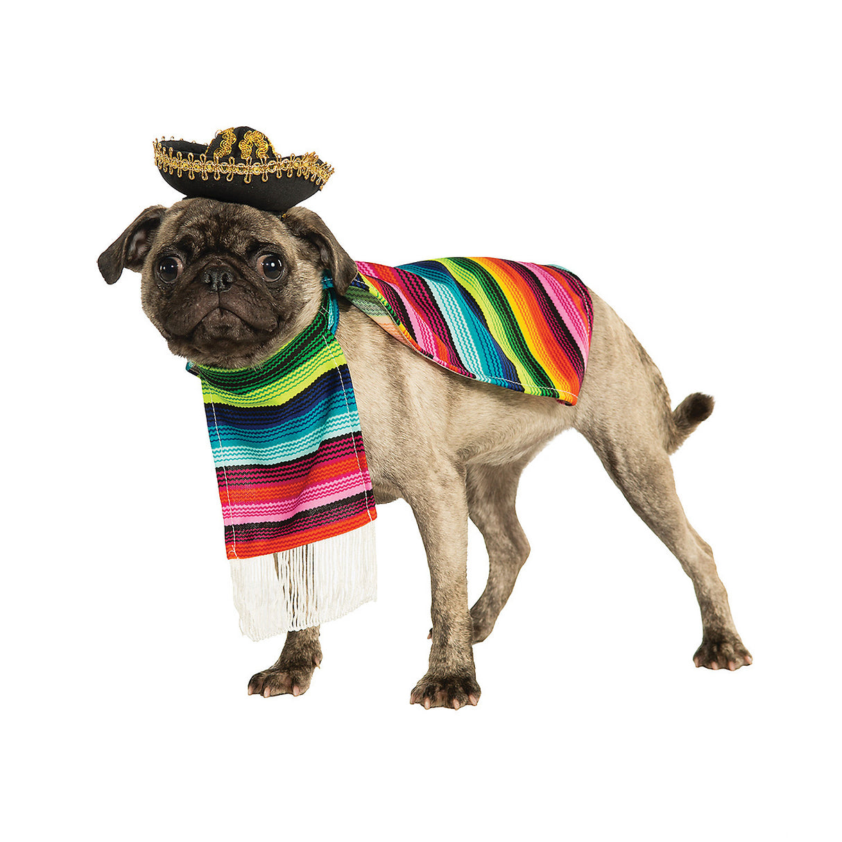 Fun Mexican Poncho Pet Costume for Halloween Parties and Festive Celebrations