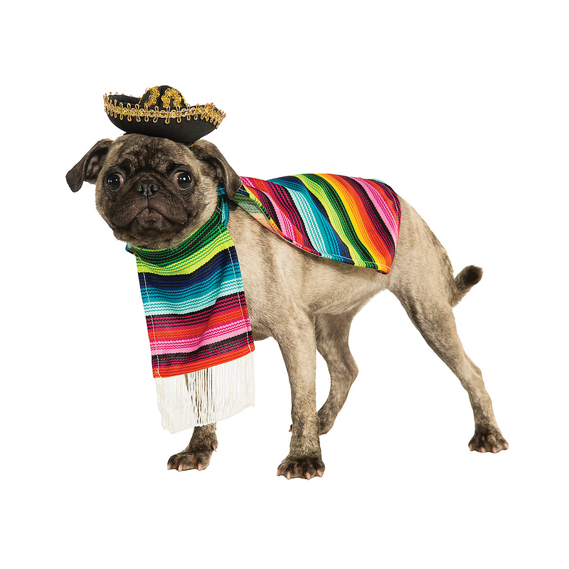 Mexican Poncho Pet Costume
