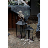 Skeleton Raven Halloween Decoration
