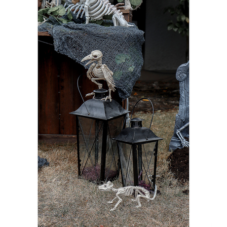 Skeleton Raven Halloween Decoration