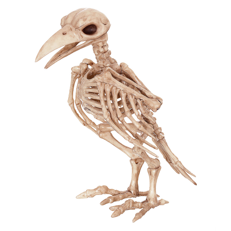 Skeleton Raven Halloween Decoration