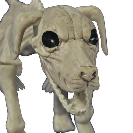 Beagle Bonez Skeleton