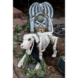 Beagle Bonez Skeleton