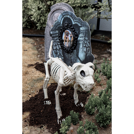 Brutus Bonez Skeleton