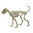 Brutus Bonez Skeleton