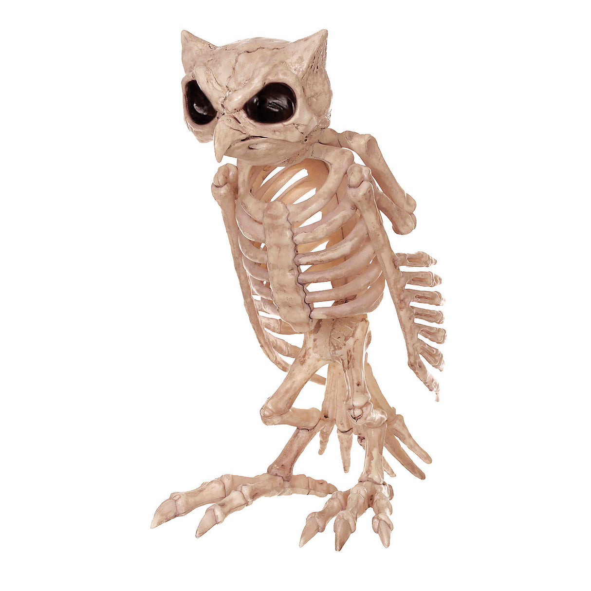 Realistic Owl Skeleton Decoration for Halloween Decor and Themed Parties