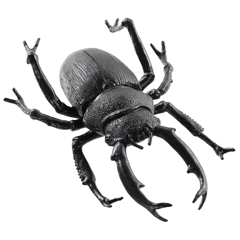 Authentic Black Beetle Decoration for Halloween Parties Spooky Events and Themed Gatherings