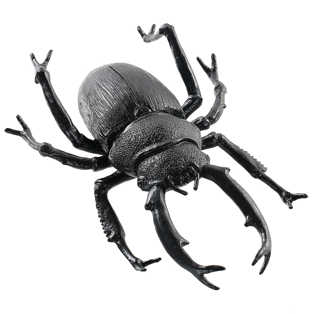 Authentic Black Beetle Decoration for Halloween Parties Spooky Events and Themed Gatherings