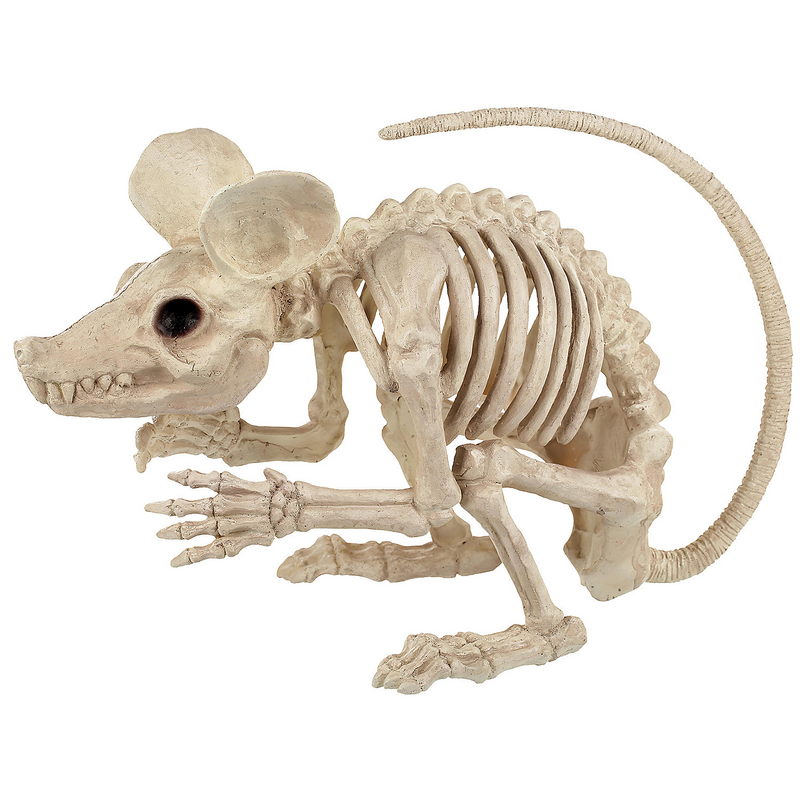 Realistic RAT ATTACK 21.5 INCHES for Spooky Decorations Halloween Events and Horror Themed Parties
