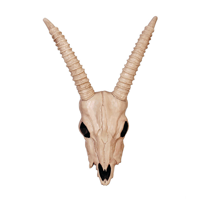 Authentic Skeleton Gazelle Head for Halloween Decorations and Costume Accessories