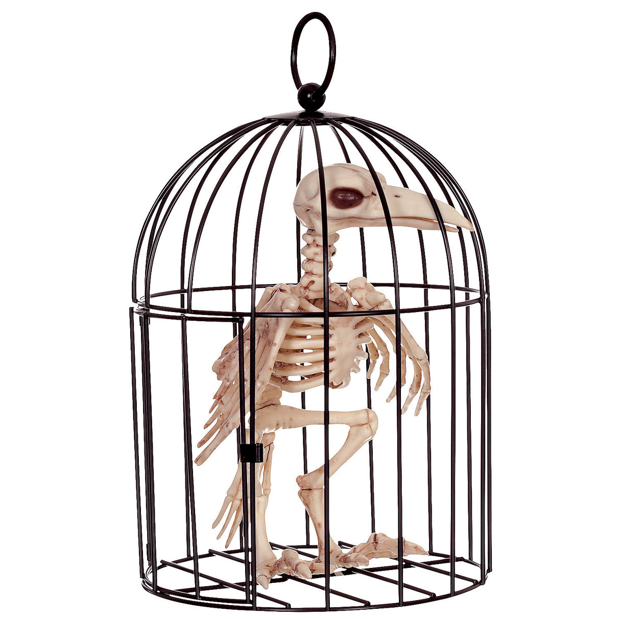 Skeleton Crow Decor for Halloween Parties Haunted House and Spooky Themed Decor