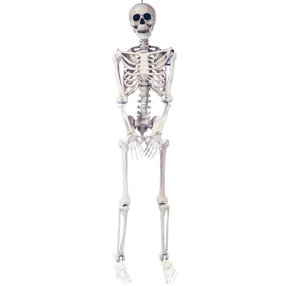 Versatile Skeleton Pose and Hold Prop for Home Haunts and Halloween Displays