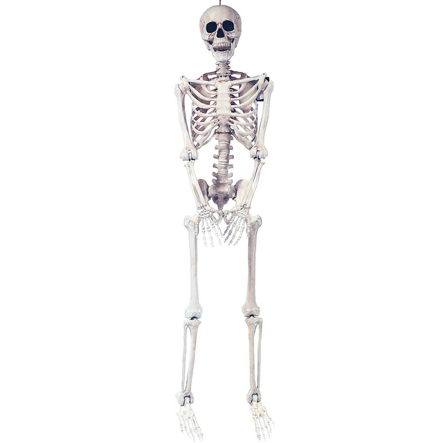 SKELETON POSE AND HOLD