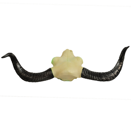 Longhorn Skull 24 Inch Lightup