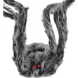 Gray Spider Giant