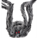 Gray Spider Giant