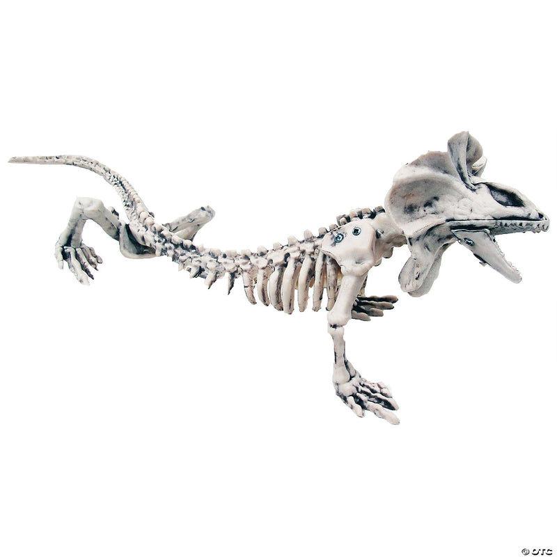 Realistic Skeleton Lizard Decoration for Halloween Parties and Spooky Displays