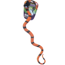 Snake Assortment