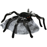 JUMPING SPIDER BLACK