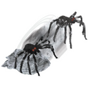 JUMPING SPIDER BLACK