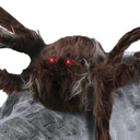JUMPING SPIDER BROWN
