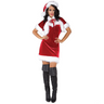 Santa Helper Costume