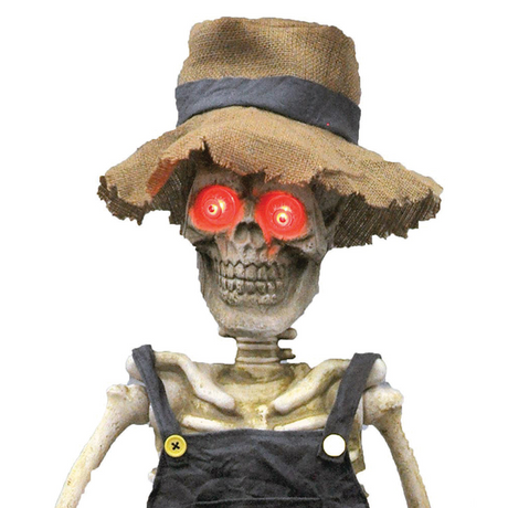 Animated Skeleton Playing Banjo