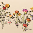 Stretch Polyester Crepe Panel - Cream and Rainbow Floral - The Power of Will Print - Mood Exclusive Crow Collection