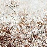 Mood Exclusive Celestial Canopy White Cotton Voile