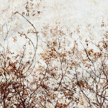 Mood Exclusive Celestial Canopy White Cotton Voile