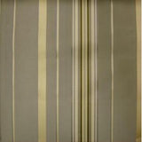 Mirage Silk Fabric - Shiny Multi-Colored Stripe, 54" Width (1 Yard)