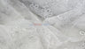 Coco Ribbon Polyester Fabric - Sheer Embroidery, Double Scallop Lace, 52" Width (1 Yard)