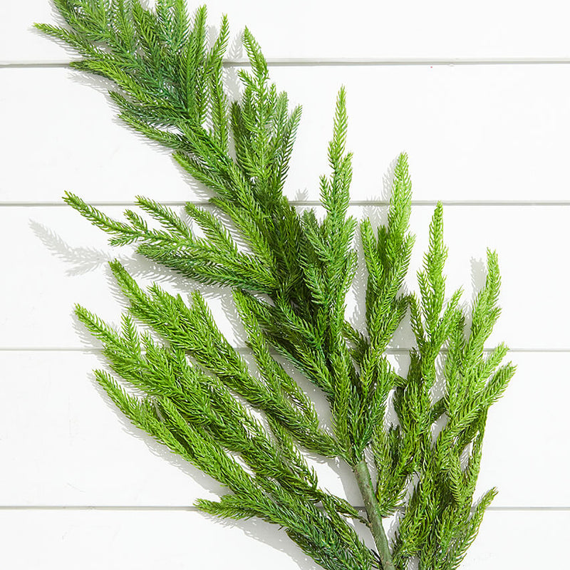 38” Natural Touch Norfolk Pine Christmas Spray