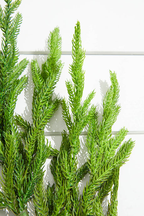 38” Natural Touch Norfolk Pine Christmas Spray