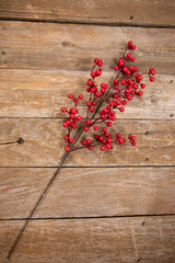 26” Red Mixed Berry & Crabapple Spray