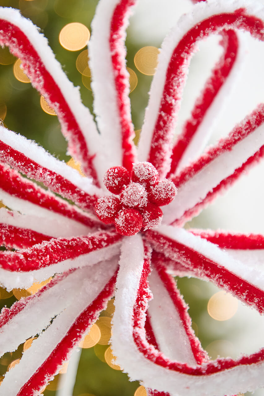 21" x 13.5” Peppermint Loop Poinsettia Stem