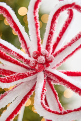 21" x 13.5” Peppermint Loop Poinsettia Stem