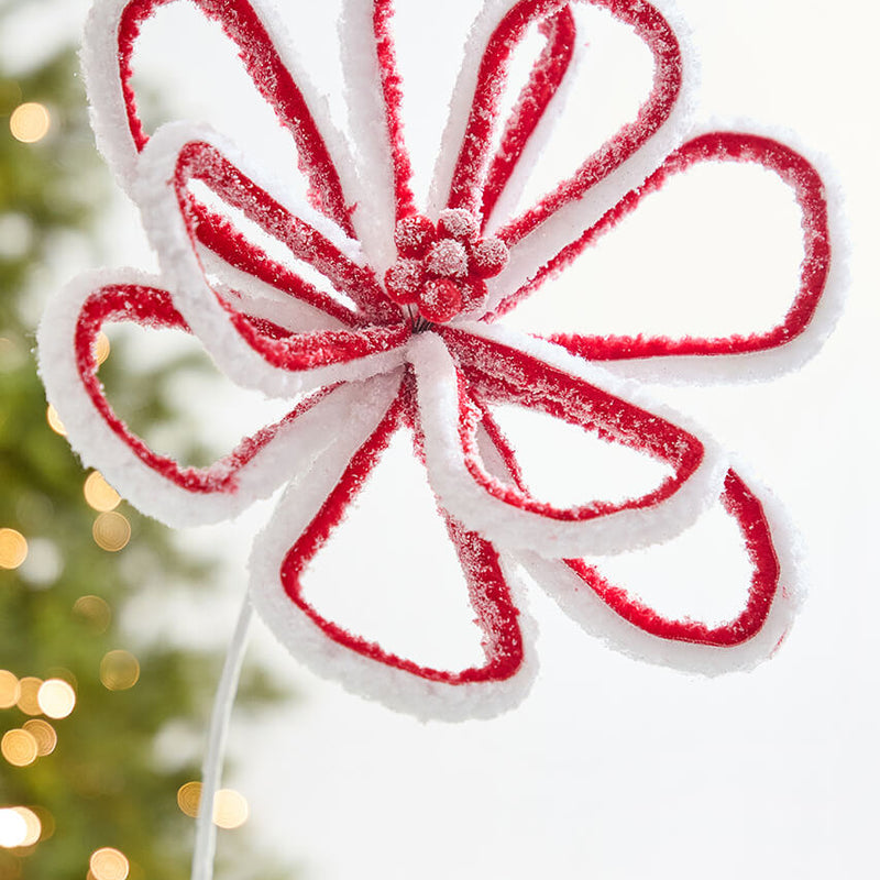 21" x 13.5” Peppermint Loop Poinsettia Stem