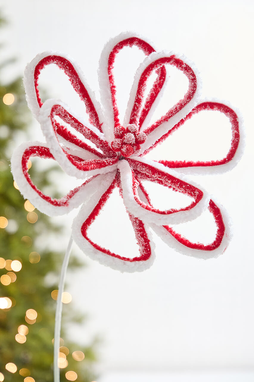 21" x 13.5” Peppermint Loop Poinsettia Stem