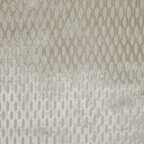 Burnout Velvet Drapery Upholstery Fabric Madrid