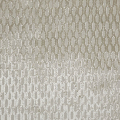 Burnout Velvet Drapery Upholstery Fabric Madrid