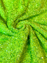 Sequin on Velvet Stretch Fabric