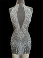 Silver Rhinestone Bodice Applique