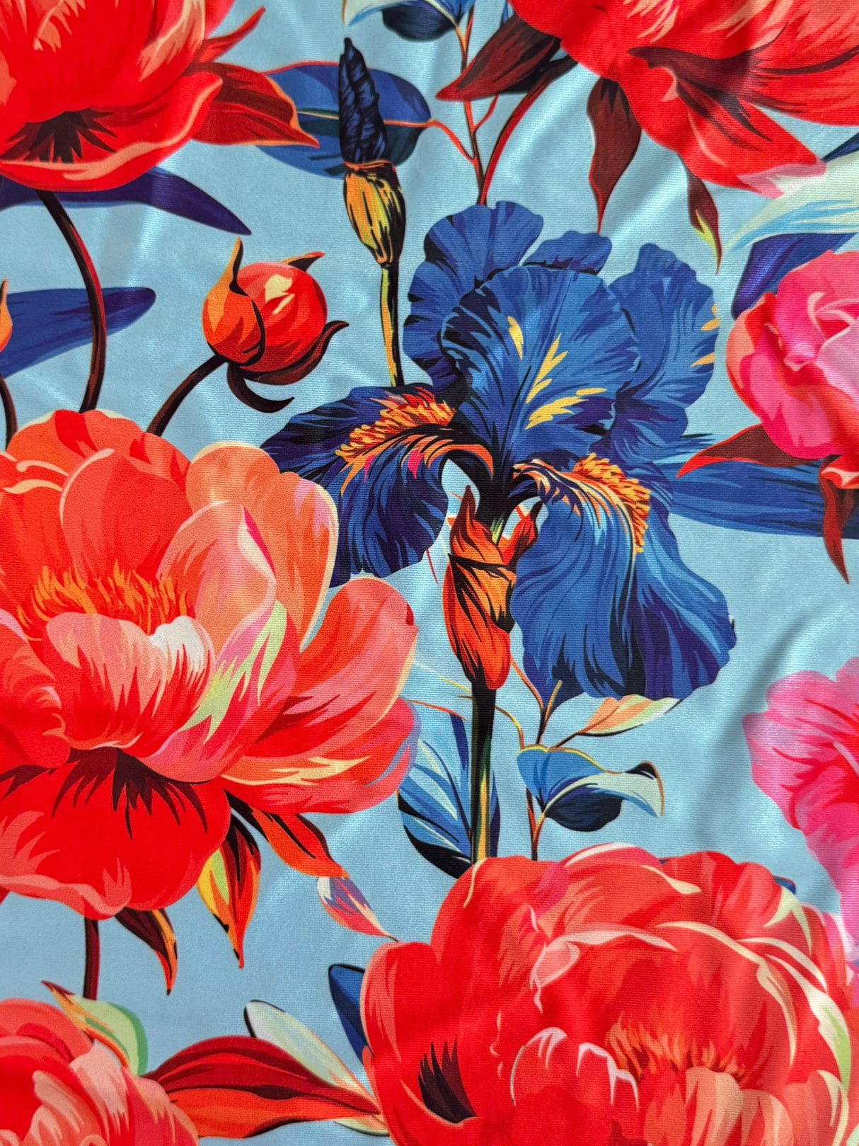 Printed Nylon Spandex Garden Flowers Multicolor