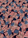 Printed Nylon Spandex American Flag