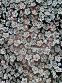 Stretch Sequin Flowers on Hunter Green Mesh
