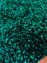 Sequin on Velvet Stretch Fabric