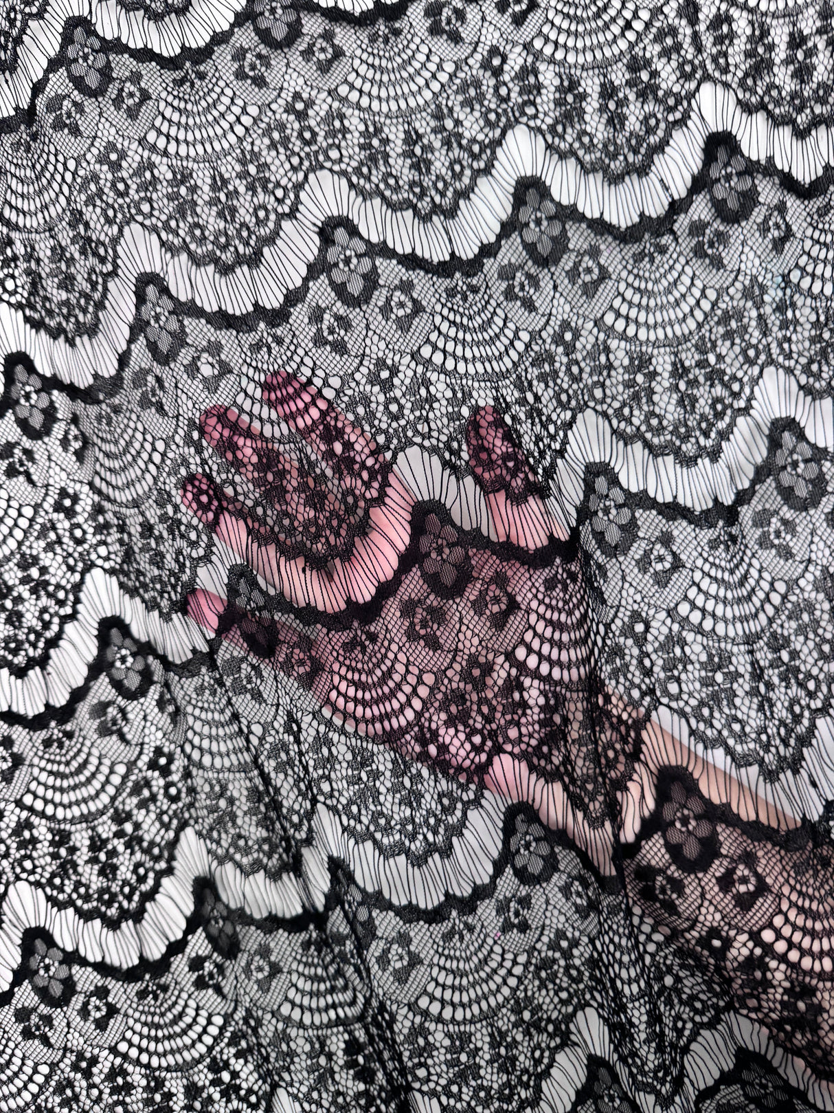 Black French Chantilly Floral Lace
