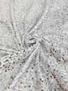 Sequin Velvet Silver White
